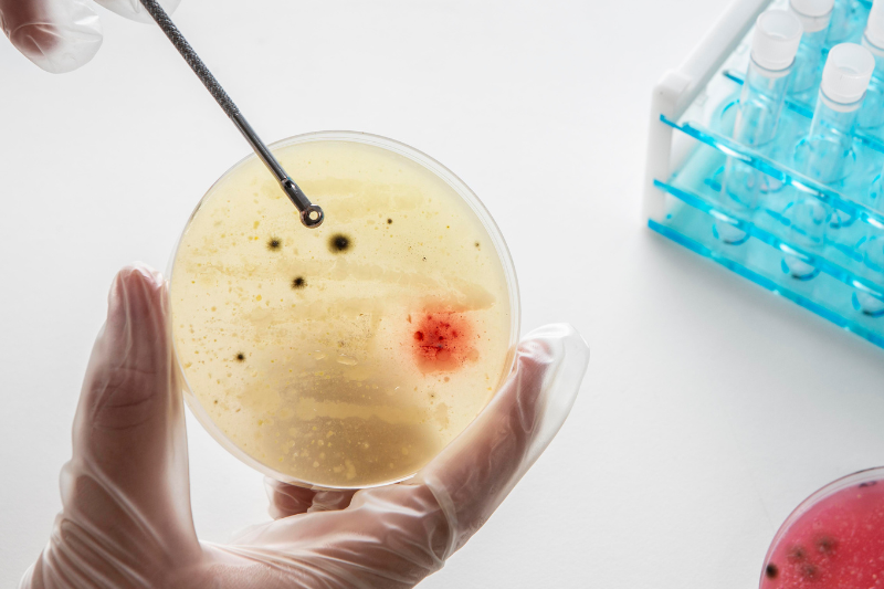 INUSpherese® bei Chronischen Entzündungen – Ein innovativer Ansatz